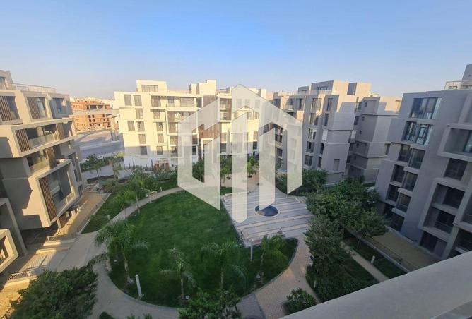 8226385 - Property Image 3