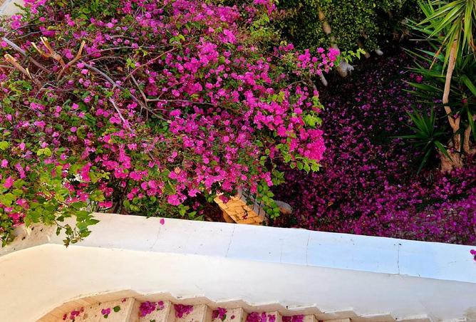 8464590 - صورة العقار 2