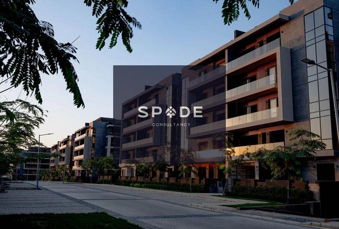 8107283 - Property Image 3