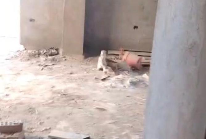 8515128 - Property Image 3