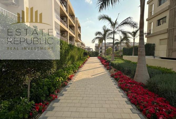 8082633 - Property Image 3