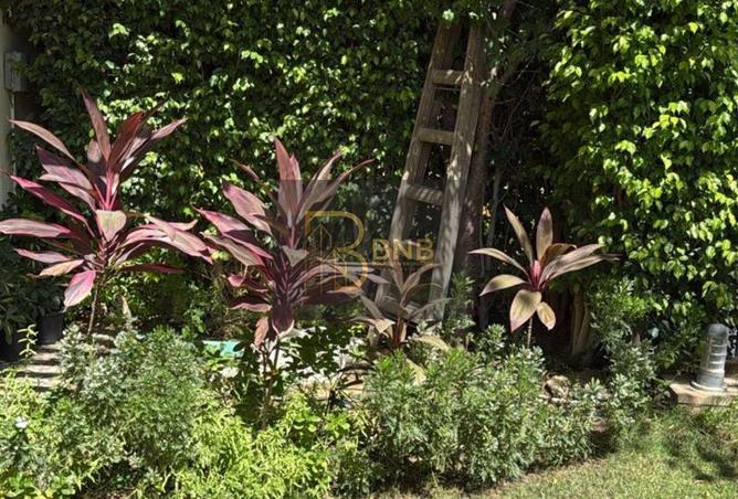 8423592 - صورة العقار 2