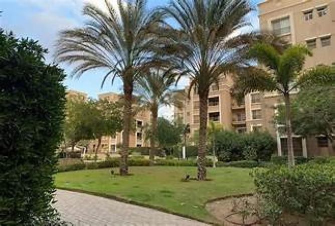 7889243 - Property Image 3