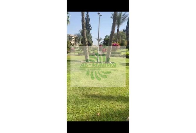 8376256 - Property Image 3