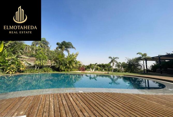 8222231 - Property Image 3