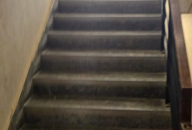 8194753 - Property Image 2