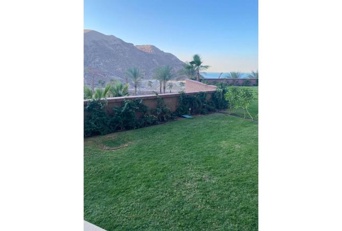 8356918 - Property Image 3