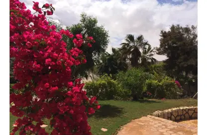 Chalet - 3 Bedrooms - 2 Bathrooms for sale in Bungalows North Coast - Bungalows - Markaz Al Hamam - North Coast