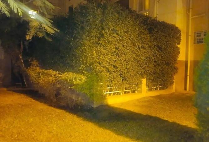 8493098 - Property Image 3