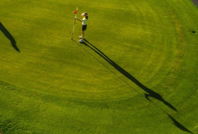 8426137 - Property Image 2