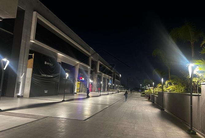 8428248 - Property Image 3