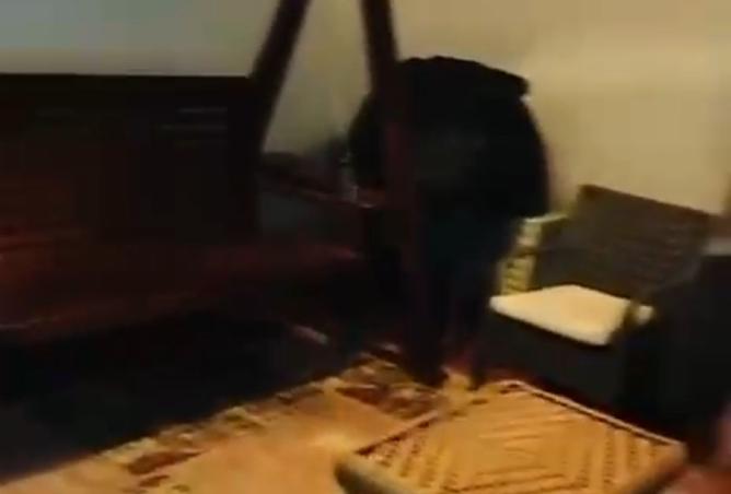 8239021 - صورة العقار 3