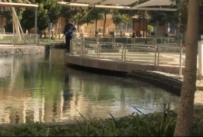 8525158 - صورة العقار 2