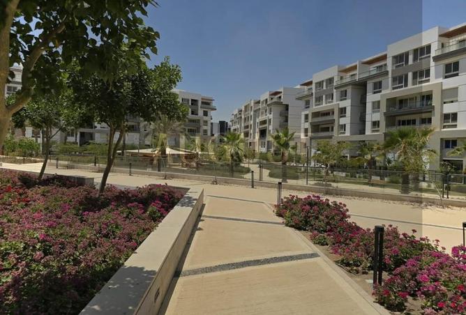 8305240 - Property Image 3