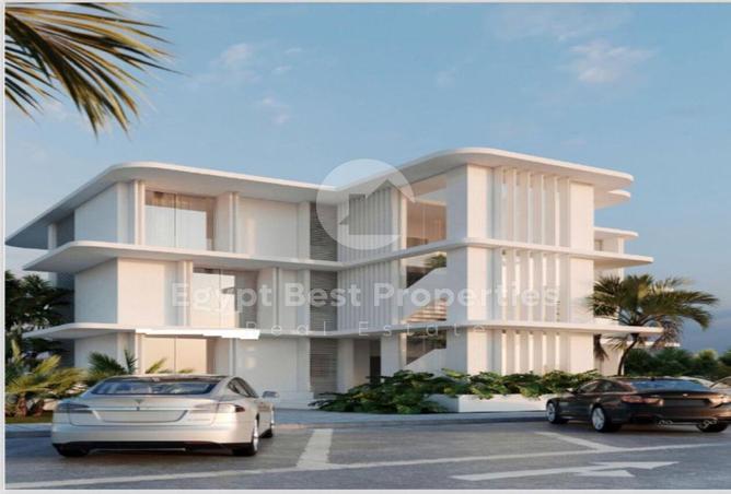 7984366 - Property Image 3
