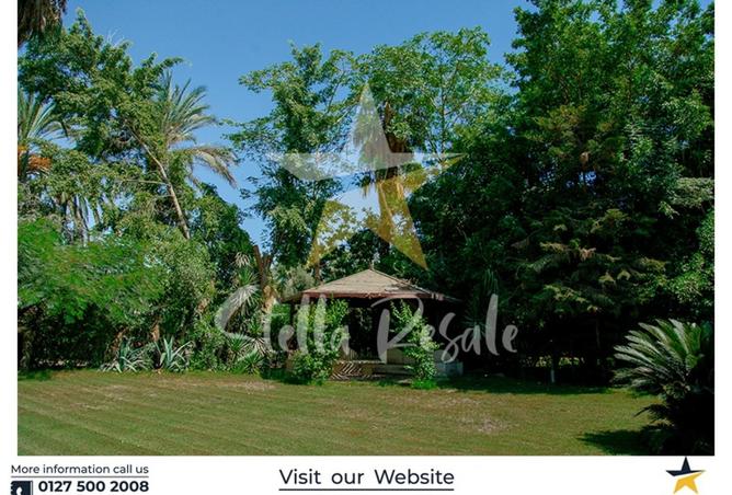 7939408 - صورة العقار 3