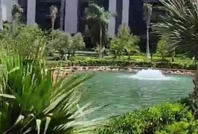 7950271 - صورة العقار 2