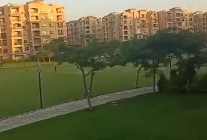 7946594 - صورة العقار 3