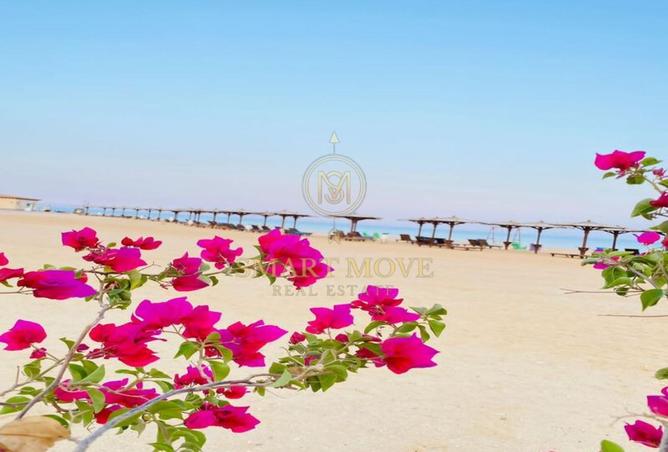 8163997 - صورة العقار 2