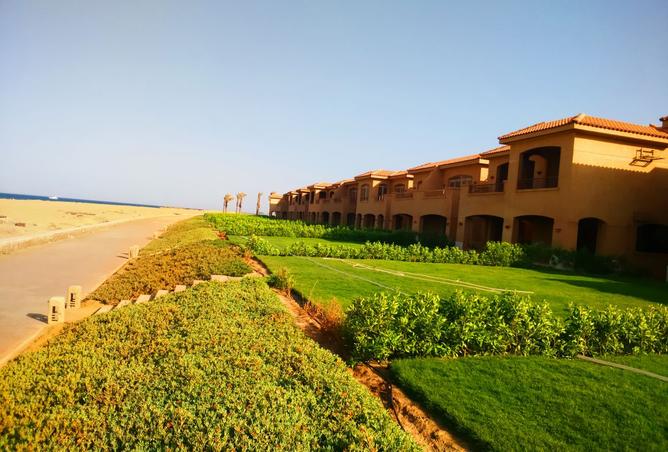 8197250 - صورة العقار 3