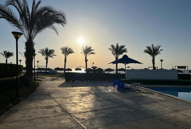 8135628 - صورة العقار 2