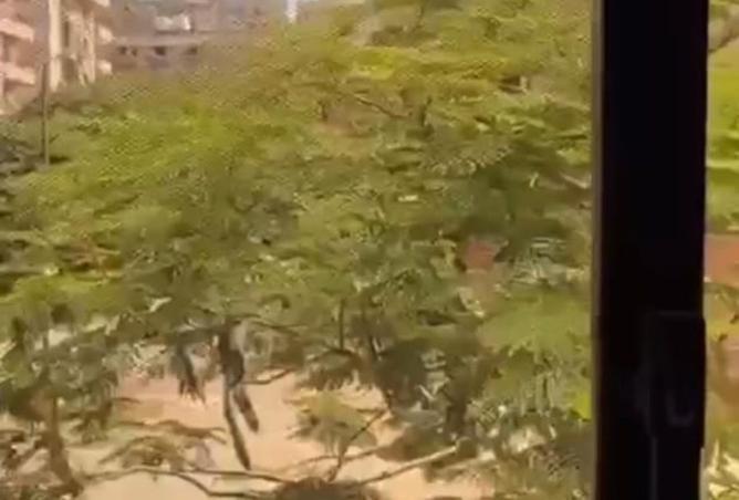 8566172 - صورة العقار 3