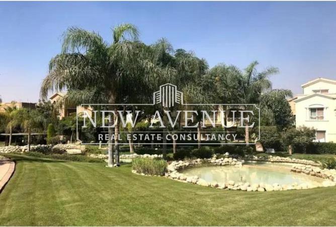 8195634 - Property Image 3