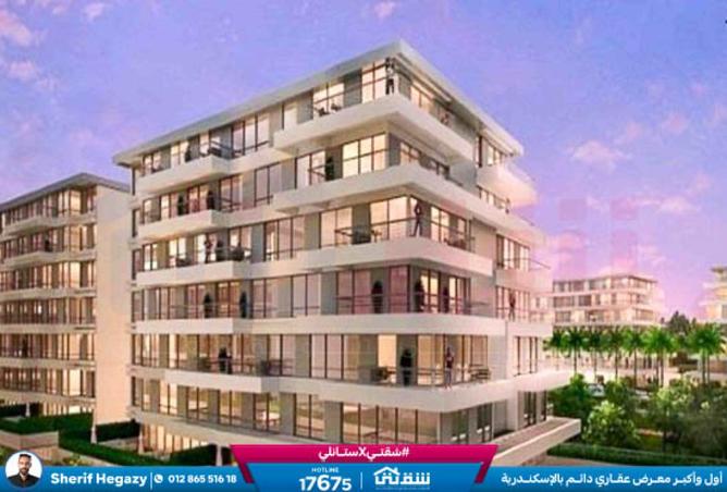 8302646 - Property Image 3