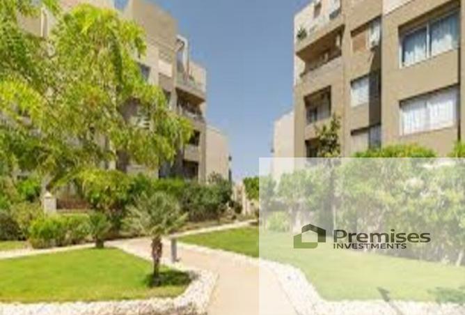 8123909 - Property Image 2