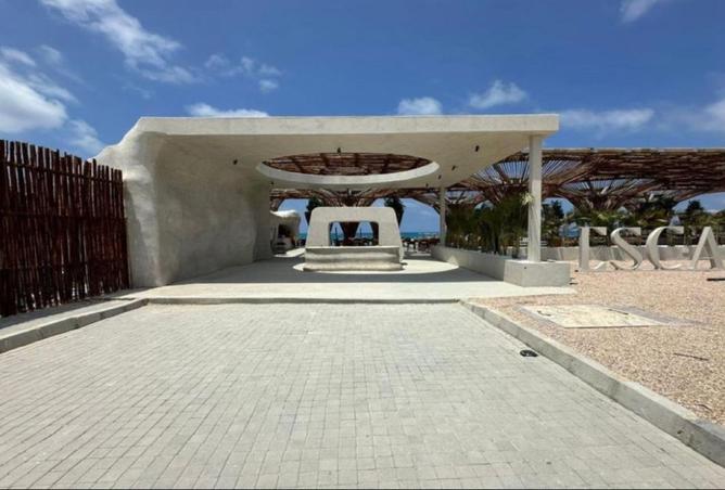 7952670 - صورة العقار 3