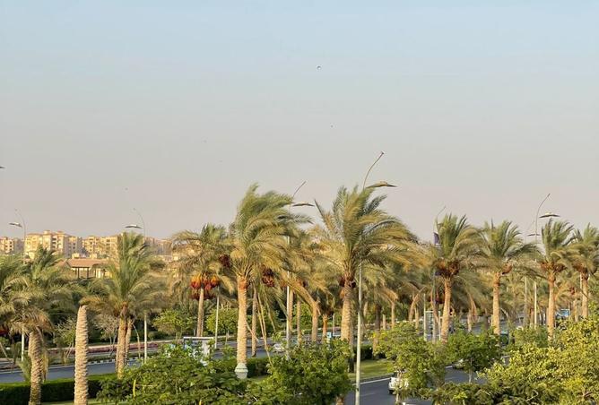 7911188 - صورة العقار 3