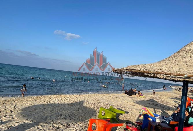 8178183 - Property Image 3