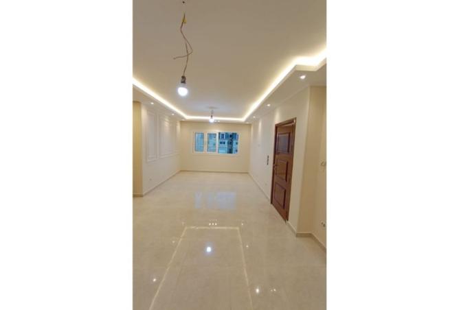 8154152 - Property Image 3