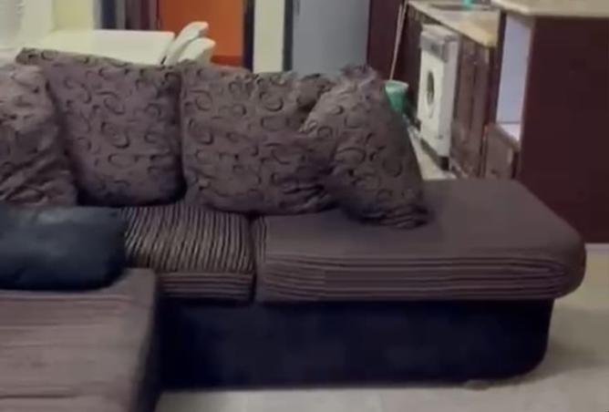 8187165 - Property Image 3