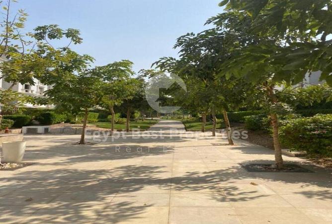 8546484 - Property Image 3