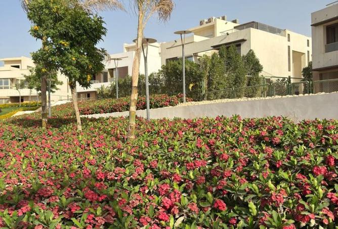 8209235 - Property Image 3