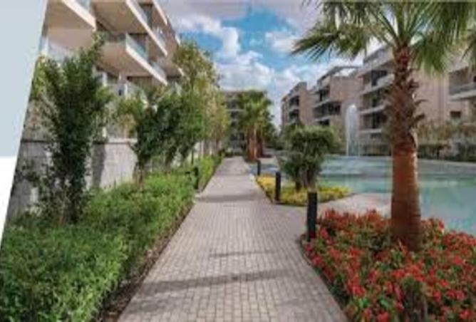 8238477 - Property Image 3