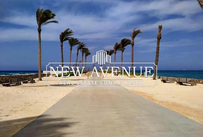 8486423 - Property Image 2