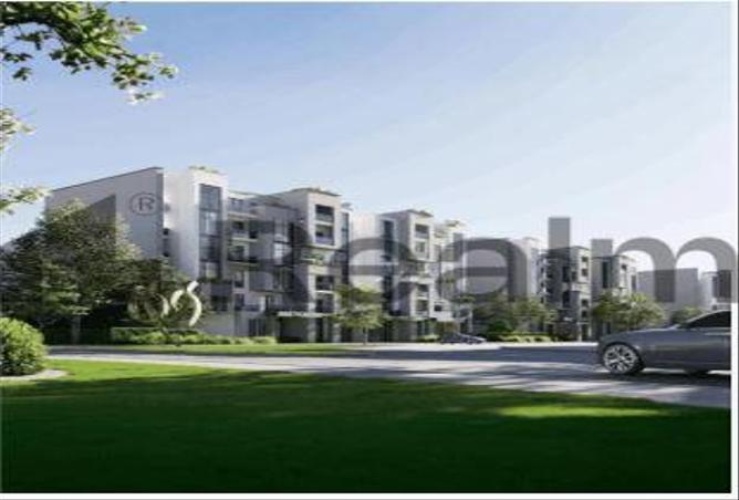 7974742 - صورة العقار 2