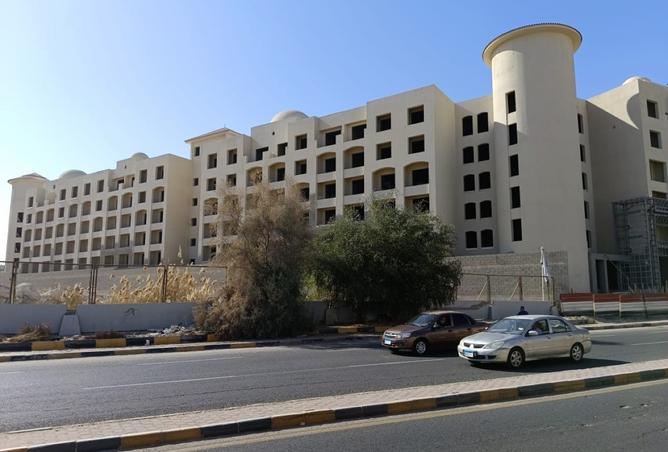 8146717 - Property Image 3