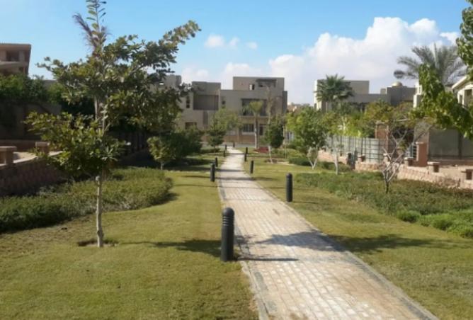 8394584 - صورة العقار 3