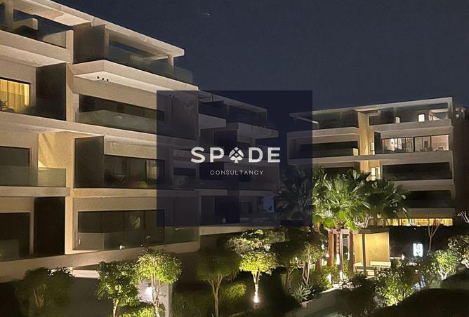 8399315 - Property Image 2