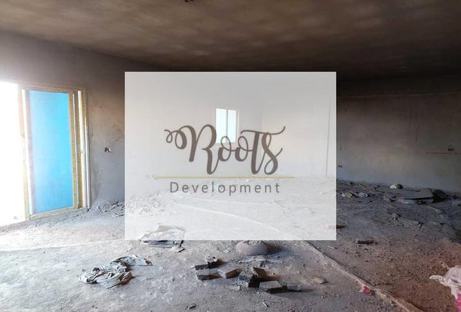 7975993 - Property Image 3