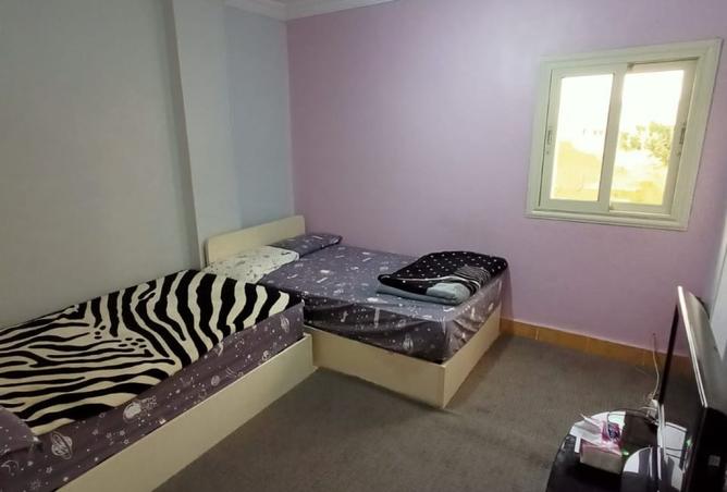 8207062 - صورة العقار 3