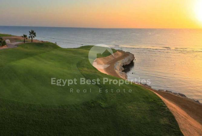 8000912 - صورة العقار 2