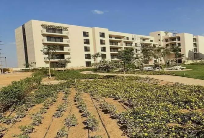 8182102 - صورة العقار 3