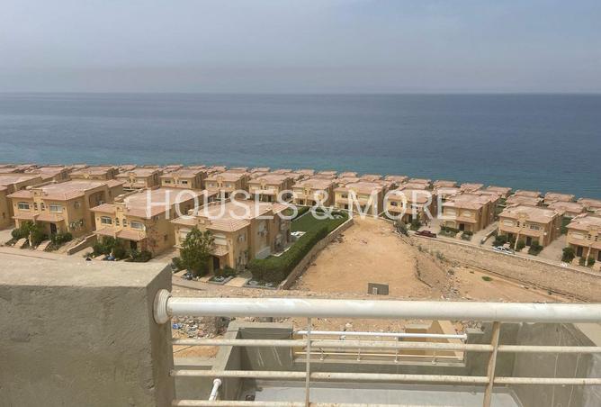 7920377 - Property Image 3