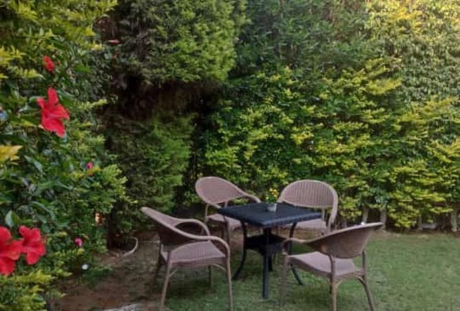 8224583 - صورة العقار 3