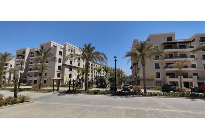 7913503 - صورة العقار 3