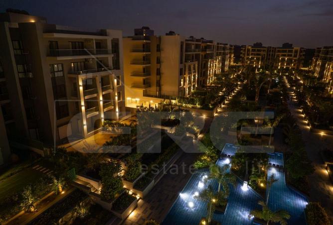 8097237 - Property Image 2